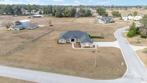 Tiny photo for 3305 NE 106th Street, Anthony, FL 32617 (MLS # OM715089)