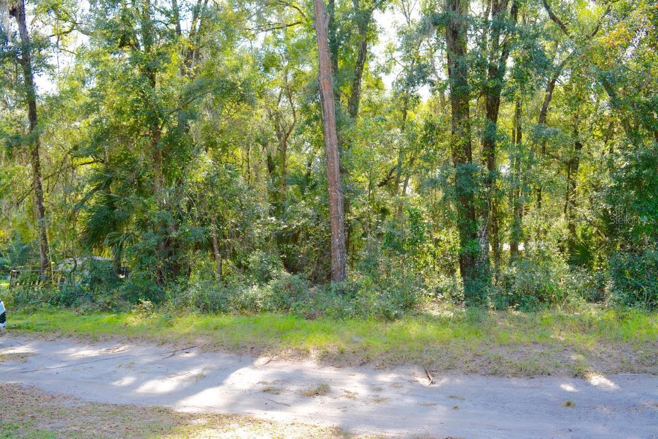 Meadows is a rapidly growing Subdivision in the Ocala Area. Ongoing development and new construction within the area. Located just a short drive to Ocala or Gainesville to restaurants, hospitals, schools, shopping and so much more. Don't miss this great property in Citra! Nearby homes have a well and septic. INFORMATION IS DEEMED RELIABLE BUT NOT GUARANTEED…TO BE VERIFIED BY THE BUYER AND/OR BUYER'S AGENT.