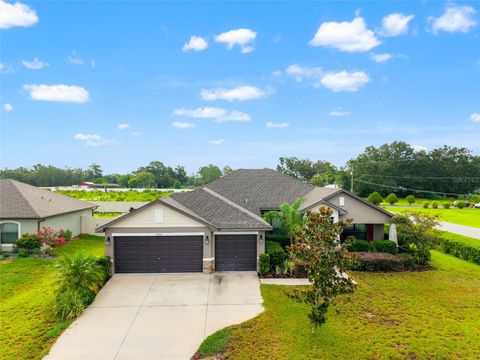 Photo of 13000 Summerfield Way, Dade City, FL 33525 (MLS # TB8408489)