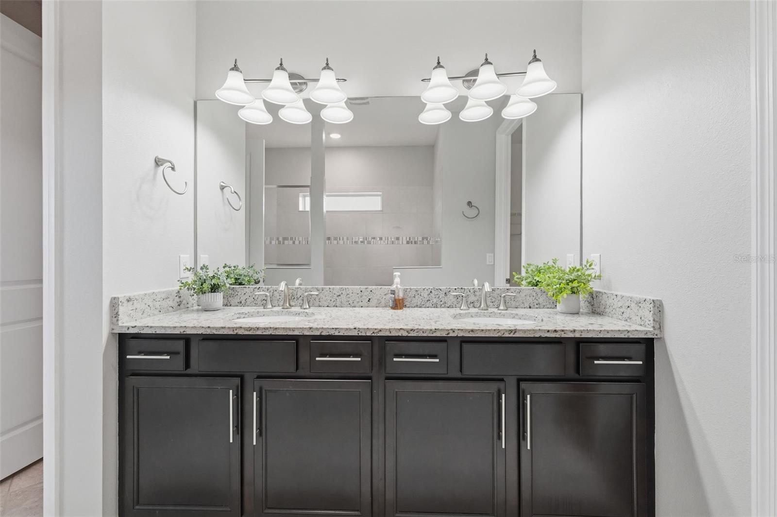 BIRCHWOOD PRESERVE SOUTH - Residential