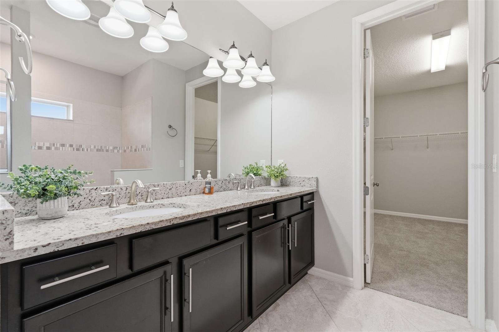 BIRCHWOOD PRESERVE SOUTH - Residential