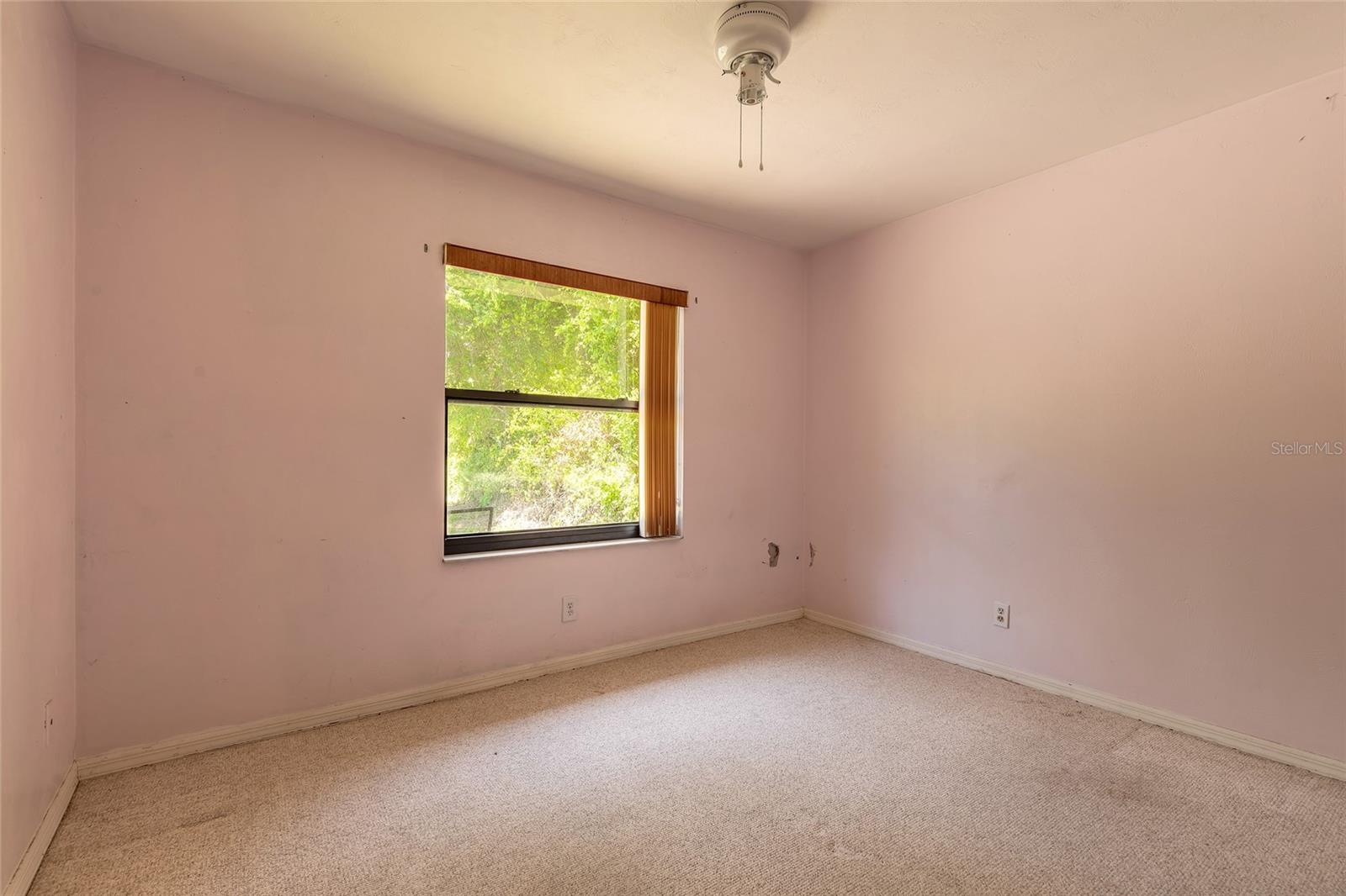 SHOTWELLS JUNGLE GARDEN - Residential