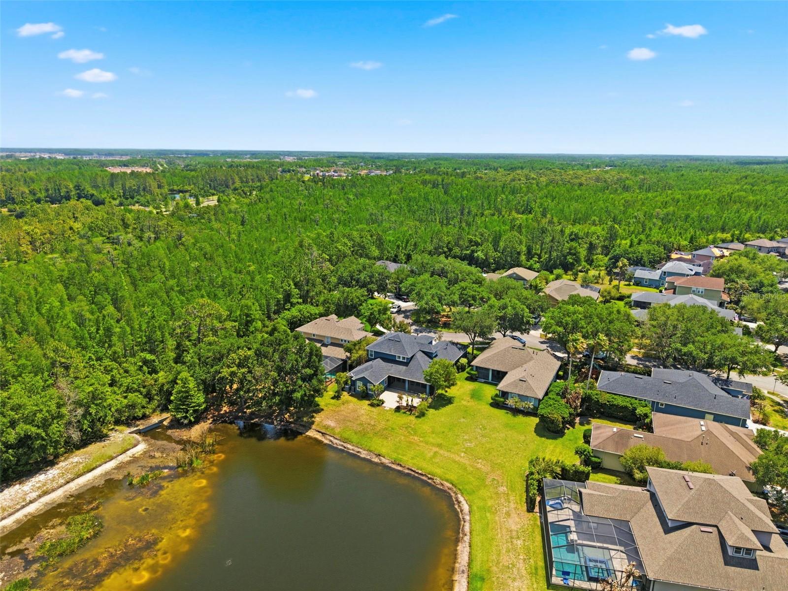 20629 WILD PLUM COURT