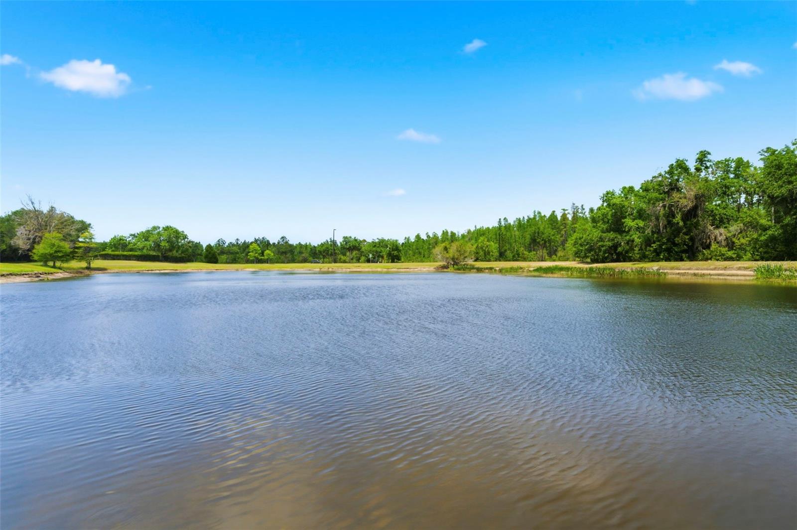 CONNERTON VILLAGE 01 PRCL 101 & 102 - Residential