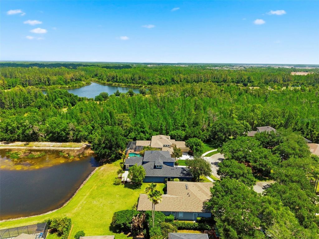 Photo of 20629 Wild Plum Court, Land O Lakes, FL 34637 (MLS # TB8501632)