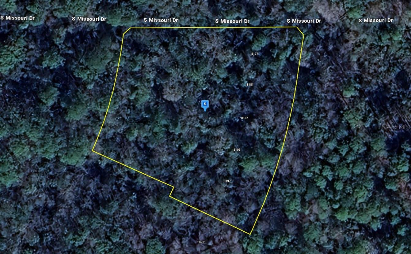 This beautiful 1.37 acre multiple lot parcel in the Homosassa community provides you with beautiful views, lots of trees and a great location next to the gulf. This lot appears to have access to some utilities for a quick and easy build. Well and septic appear needed. Don't miss out on what could be your new forever home or project. The buyer will be responsible to confirm utilities, details listed and any restrictions. Great investment property! Listing is for land only and comes As Is.
I MAKE IT MY POLICY TO PUT ALL KNOWN INFORMATION ABOUT EACH LOT IN THE WRITE_UP DETAILS, SO IF YOU DON’T SEE THE ANSWER YOU’RE LOOKING FOR , PLEASE CONTACT THE COUNTY TO GATHER INFORMATION.PLEASE UNDERSTAND WHEN BUYING OR SELLING VACANT/RAW LAND THIS IS USUALLY THE CASE. THE LISTING AGENT DOES NOT GUARANTEE THE ACCURACY OF THE INFORMATION IN THIS LISTING AND IS TO BE HELD HARMLESS OF ANY MISREPRESENTATION. BUYERS ARE ENCOURAGED TO DO THEIR OWN DUE DILIGENCE TO MAKE SURE THE LOT IS A GOOD FIT. SELLERS HAVE STATED THAT THEY WISH TO SELECT THE TITLE AGENCY FOR CLOSING. THEY ARE WILLING TO COVER THAT COST AT CLOSING. THANK YOU FOR LOOKING. THIS IS A FLAT FEE LIMITED-SERVICE LISTING.