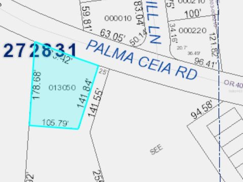 450 PALMA CEIA ROAD WINTER HAVEN FL 33884