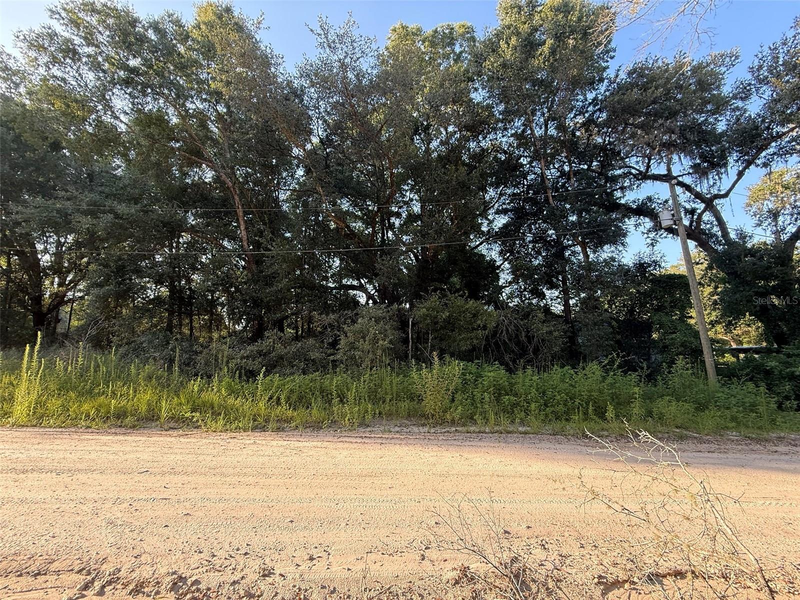 Discover the potential of this spacious vacant lot in desirable Rolling Ranch Estates a quiet and growing area with easy access to Ocala and nearby amenities. Whether you're looking to build your dream home, invest in land, or explore recreational possibilities, this 0.24-acre parcel offers flexibility and opportunity. No HOA and no time limit to build. Peaceful surroundings with plenty of room to spread out, yet just a short drive from shopping, dining, and schools. Don’t miss out on this affordable land ownership opportunity in a fast-developing Florida market! For directional purposes use neighbors address 13792