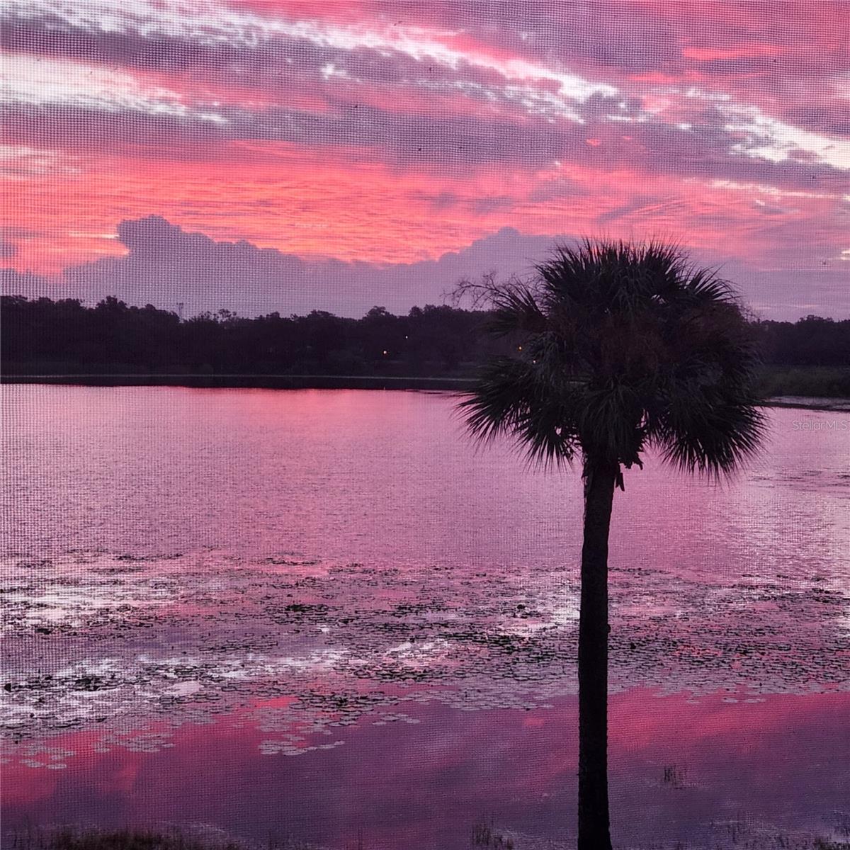 LAKE FAITH VILLAS CONDO - Residential