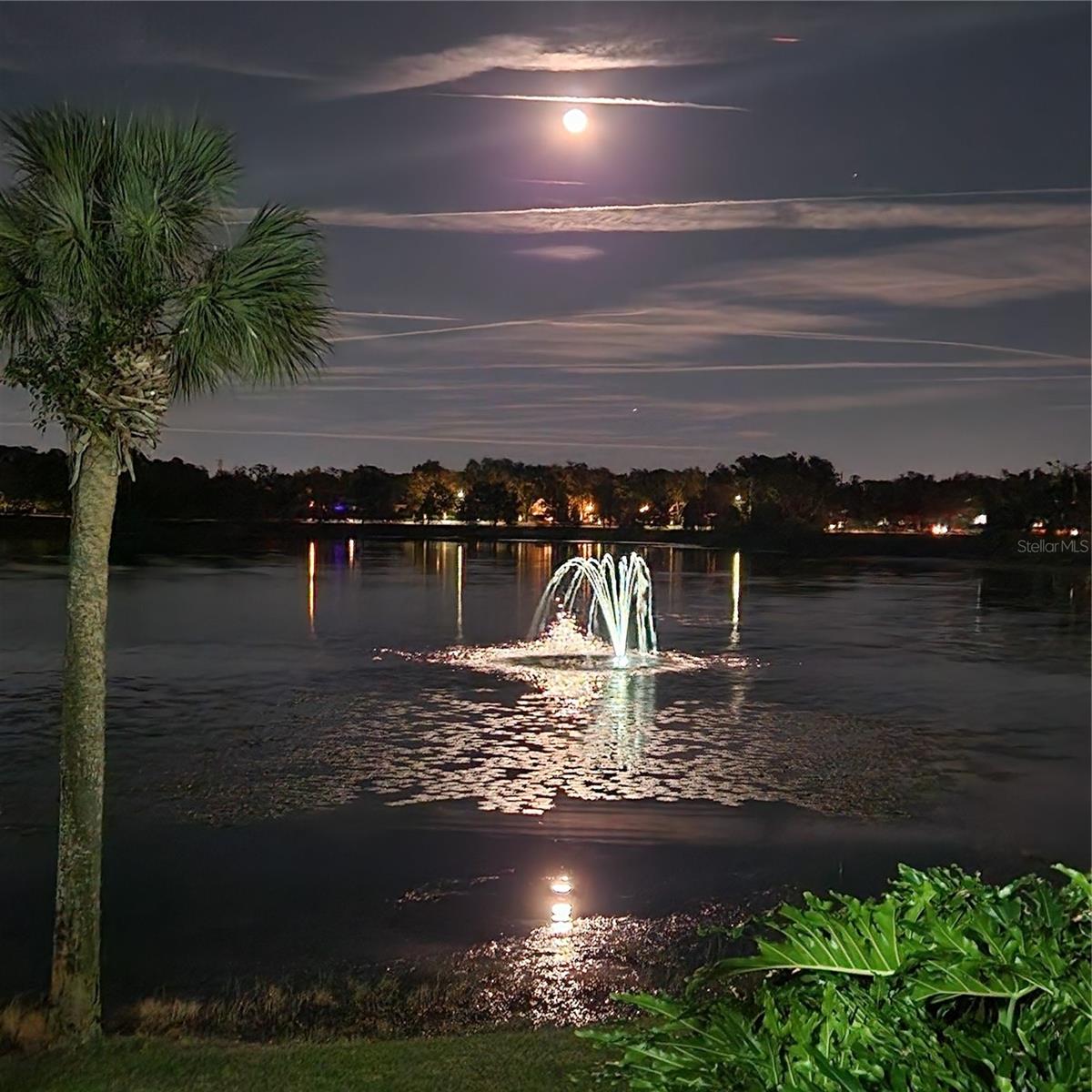 LAKE FAITH VILLAS CONDO - Residential