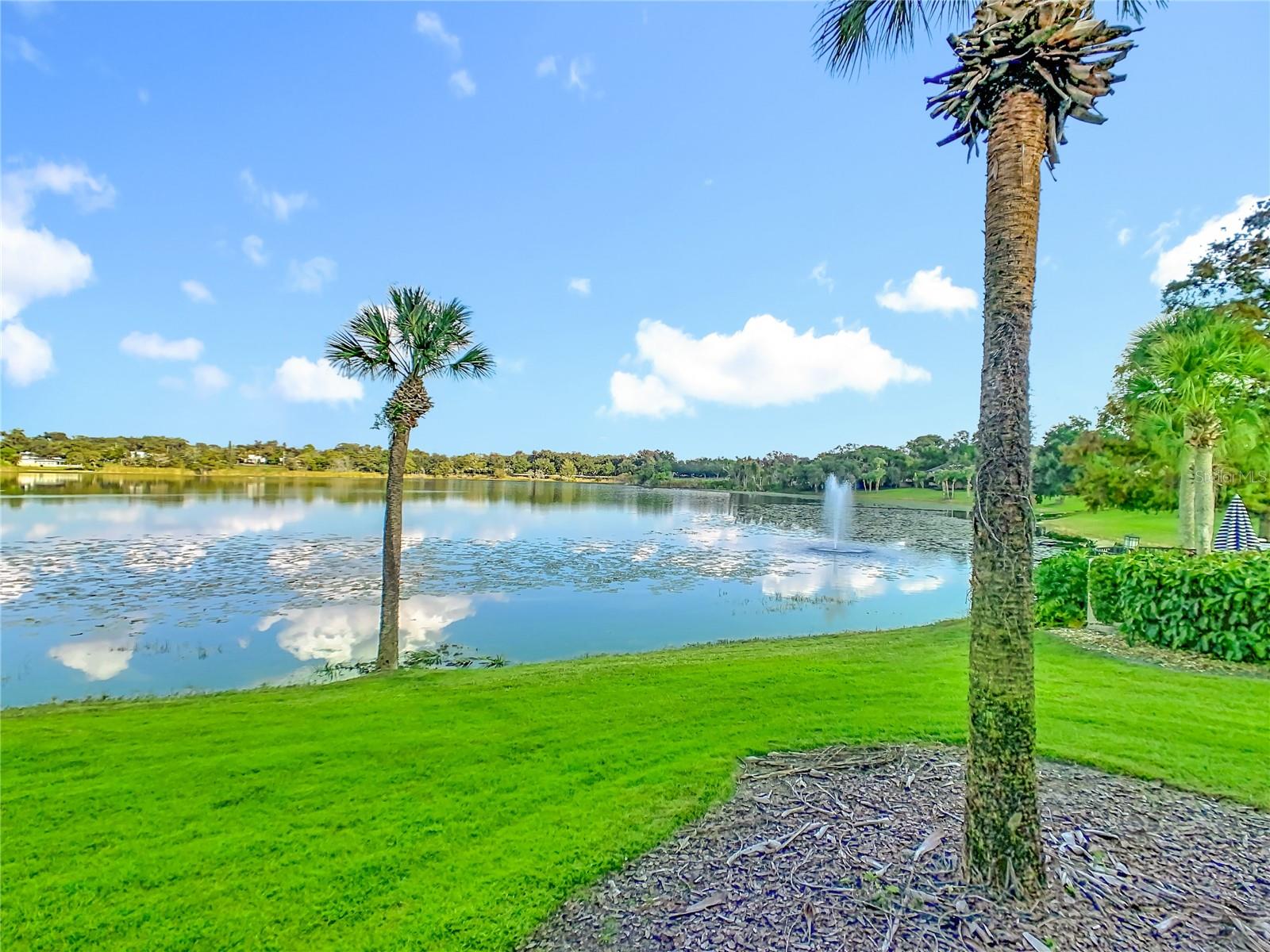 LAKE FAITH VILLAS CONDO - Residential