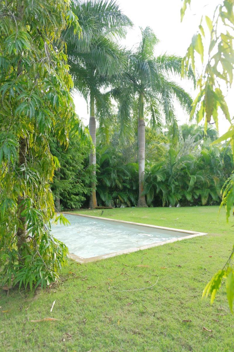 DORADO BEACH EAST - Residential