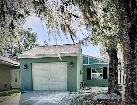 A home in LAND O LAKES