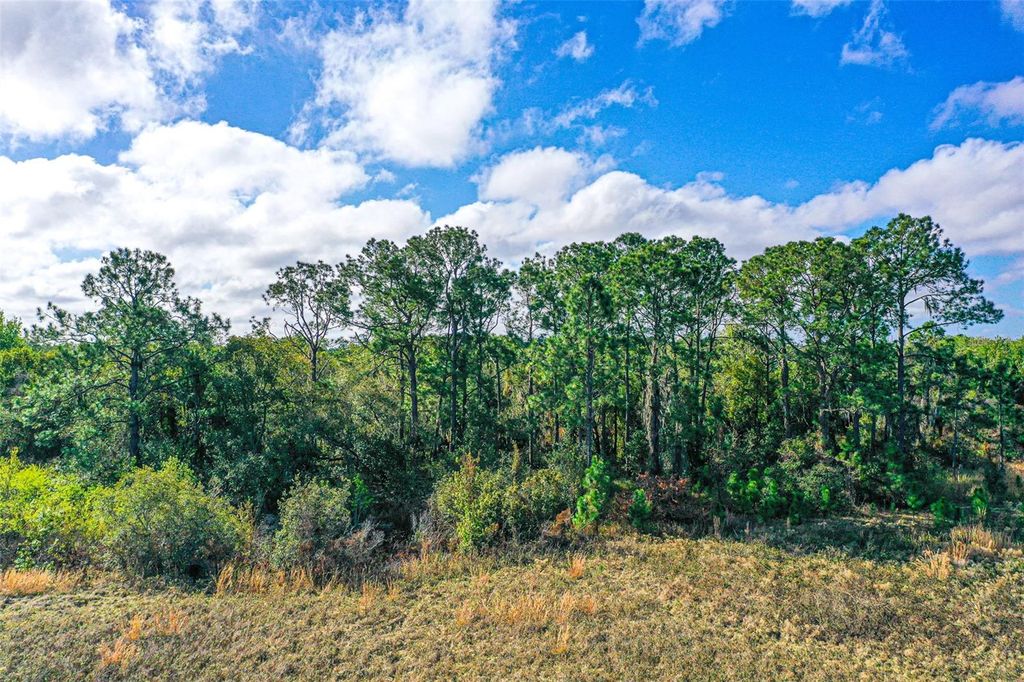 Photo of 0, Winter Haven, FL 33880 (MLS # L4959833)