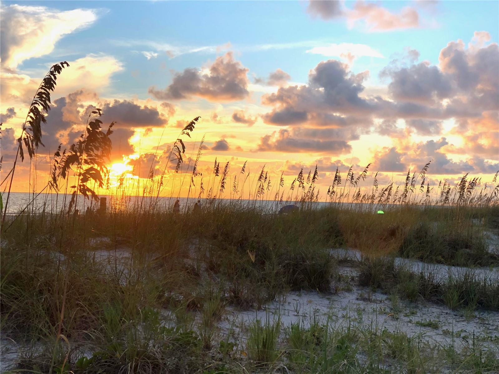 PERICO ISLAND FIRST ADD - Residential Lease