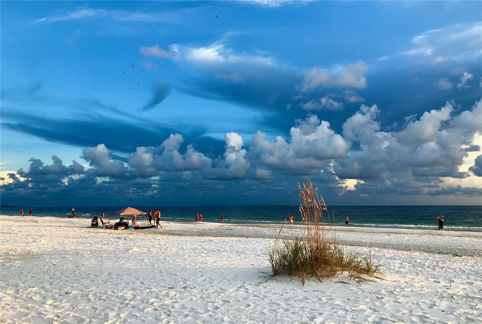 PERICO ISLAND FIRST ADD - Residential Lease