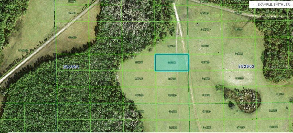 Photo of Deen Still Road, Polk City, FL 33868 (MLS # O6246985)