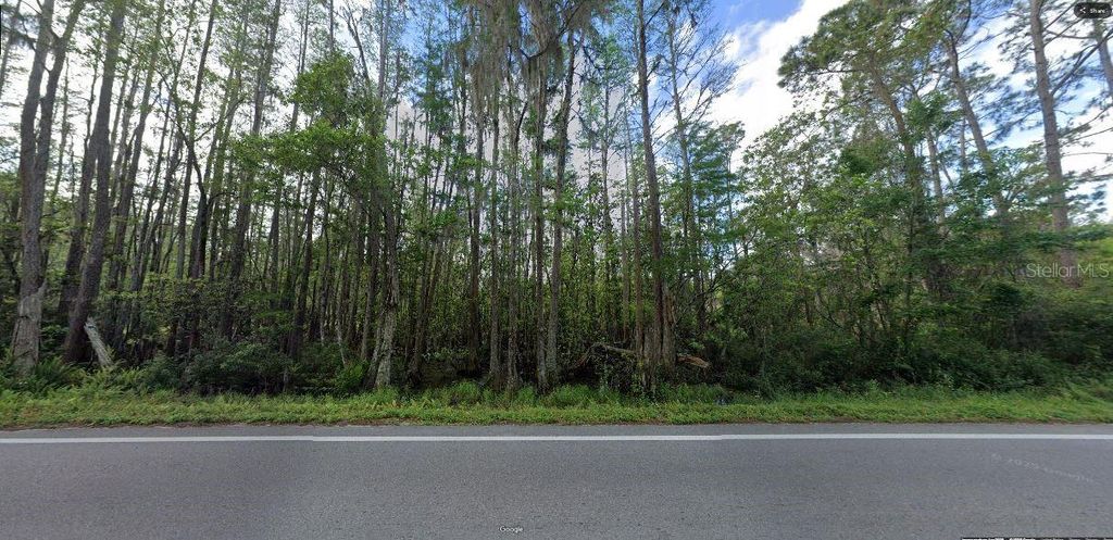 Photo of Deen Still Road, Polk City, FL 33868 (MLS # O6246985)