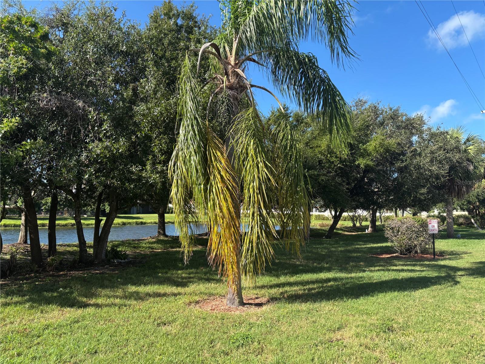 SUNRISE GOLF CLUB PH III - Residential Lease