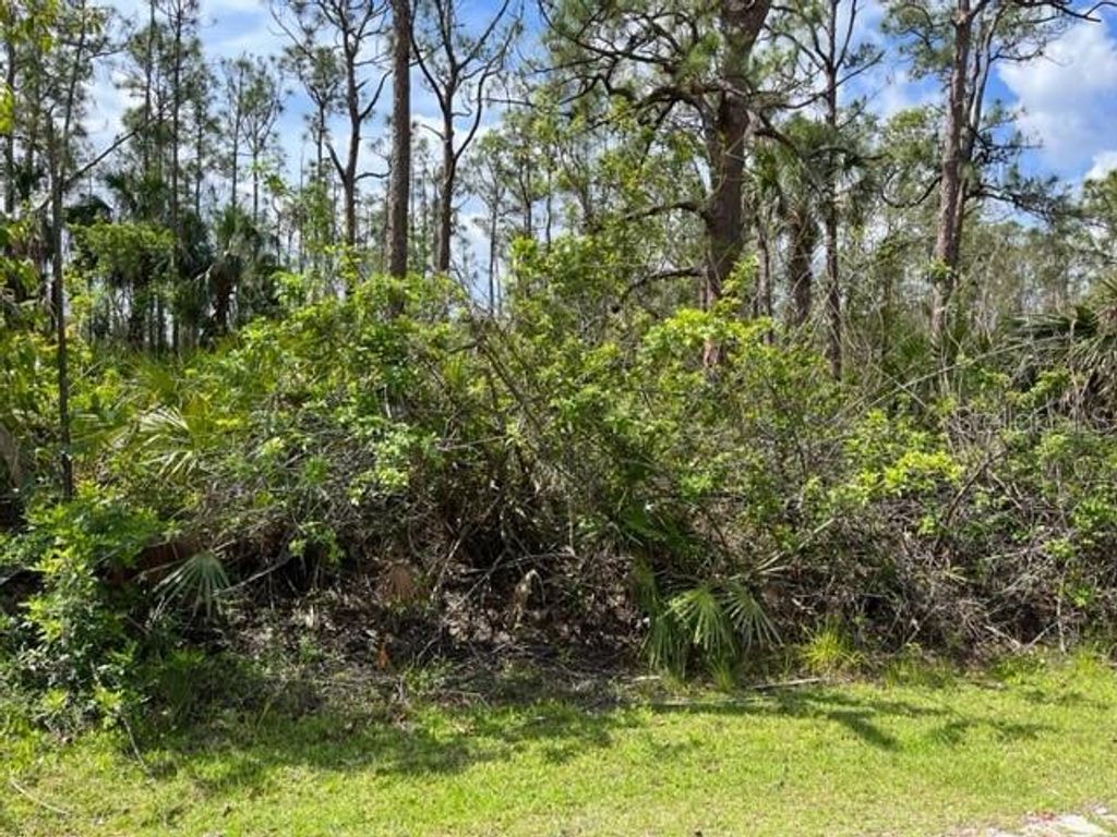 Photo of 28249 N Twin Lakes Drive, Punta Gorda, FL 33955 (MLS # D6142702)