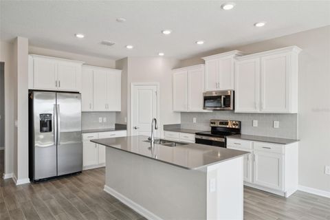 Tiny photo for 7113 Dilly Lake Avenue, Groveland, FL 34736 (MLS # O6329384)