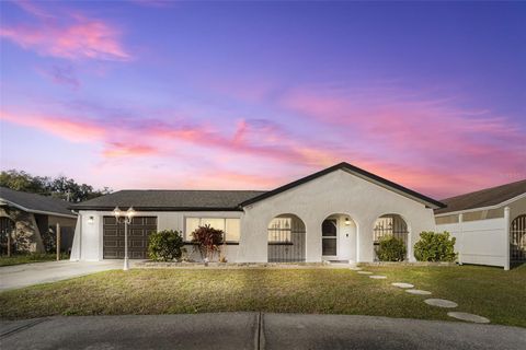 Photo of 7239 Carmel Avenue, New Port Richey, FL 34655 (MLS # TB8468861)