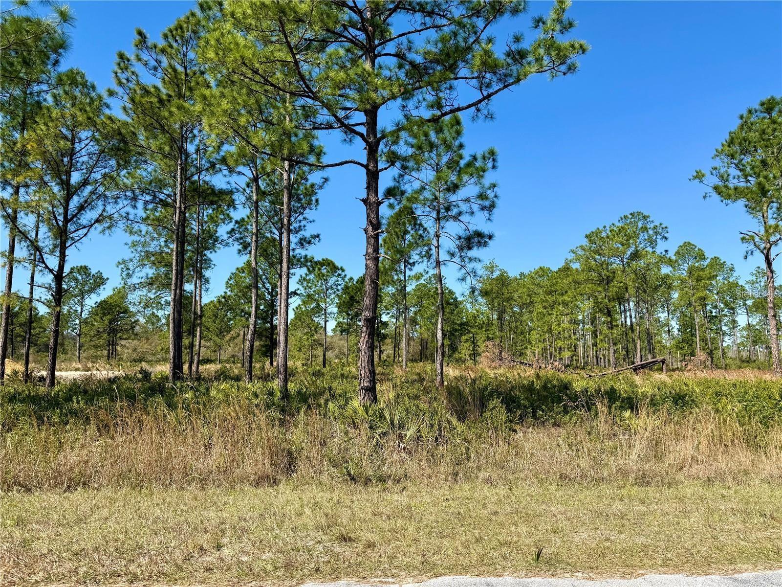 1 Acre, 150X290 parcel for sale located at Equestrian Royal Trails Subdivision, there is no time limit to build, and the minimum square footage is 1,200. YOU CAN CHOOSE YOUR BUILDER, or one can be recommended. Once you build, you may park your RV and boat. The zoning allows 2 horses an acre and deeded access to Lake Norris and Lake Marion within the Royal Trails. The community has a playground, park, and pavilion with many activities throughout the year. Enjoy the St. Johns River, Lake Dora, Lake Eustis and more within half hour of the Subdivision. The HOA is $92.00 a YEAR an Acre. Royal Trails is a deed restrictive community, no mobile, modular or manufacture homes allowed. Adjacent parcel also available. No CDD and roads are public maintained. Lot Exception for Density has been approved.