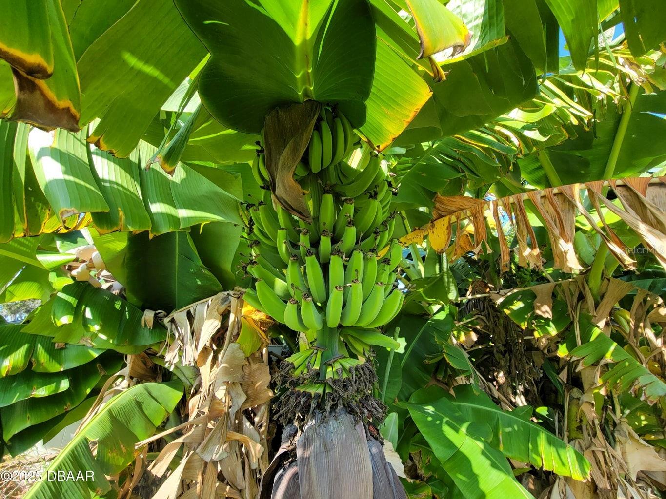 CAMBRIDGE - Residential