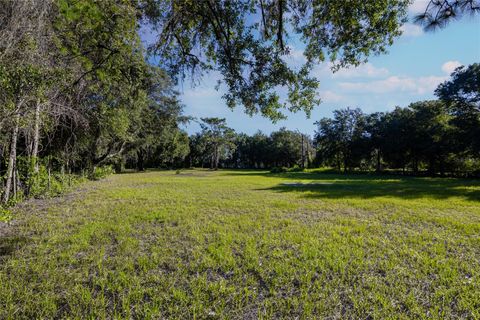 A home in KISSIMMEE