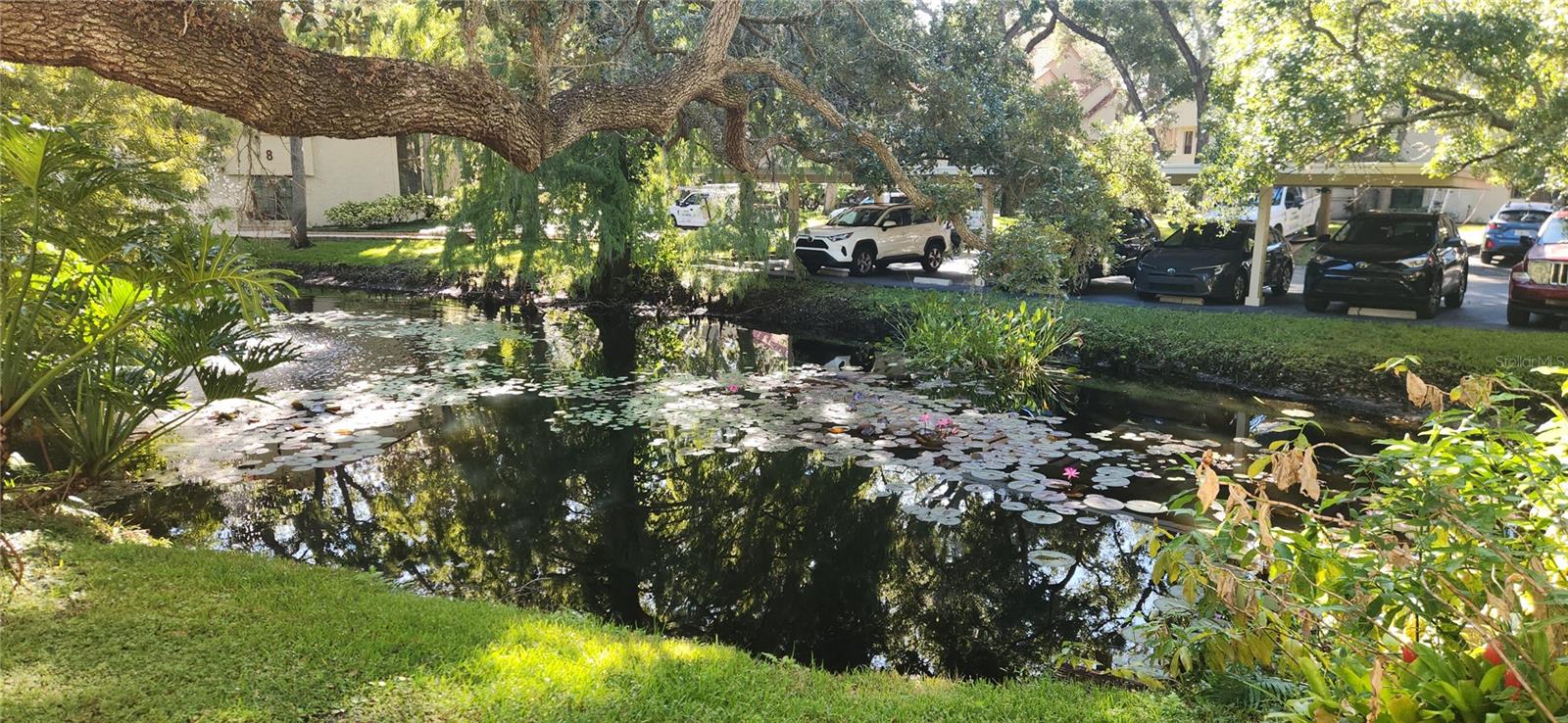 LOS PRADOS CONDO - Residential