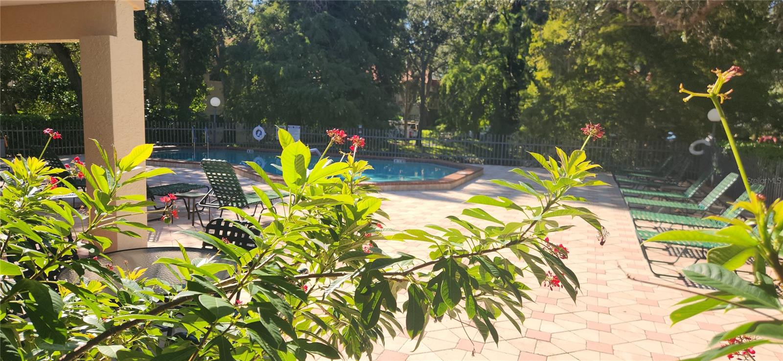 LOS PRADOS CONDO - Residential