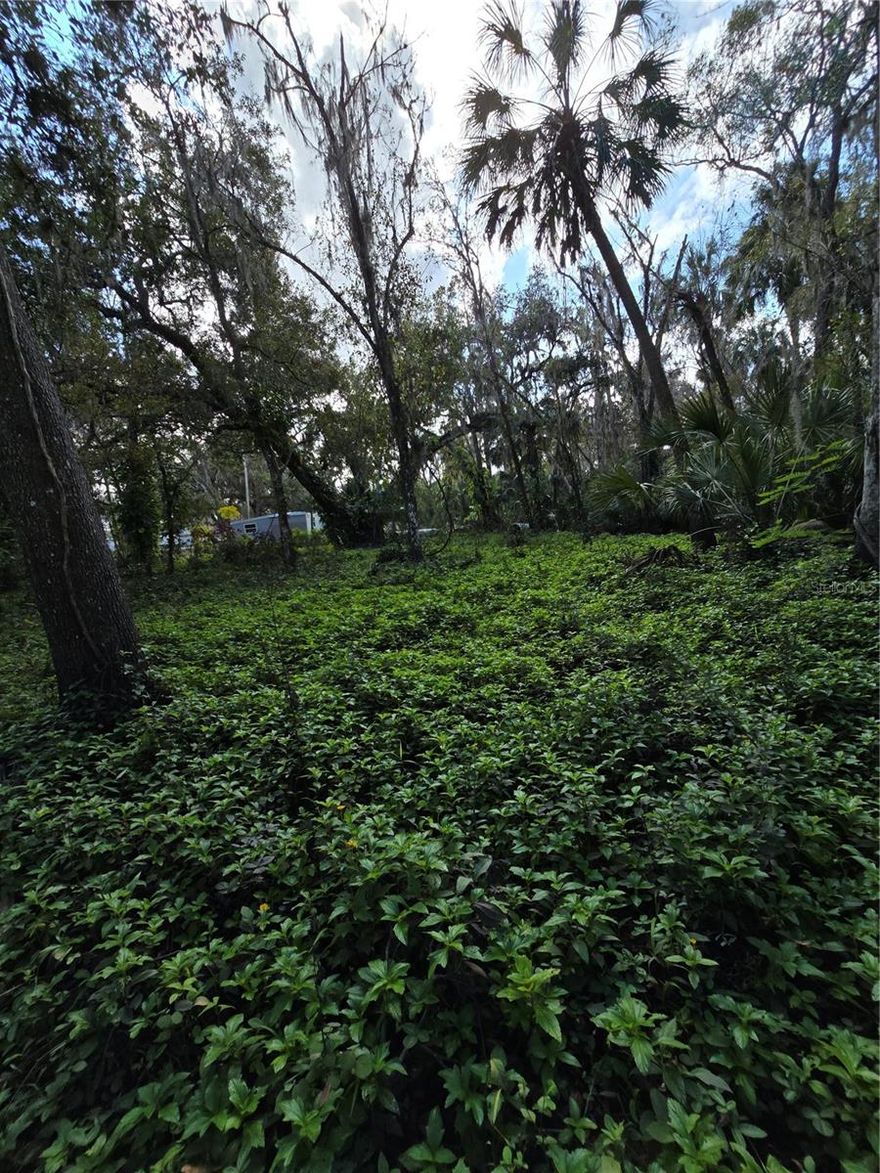 Prime lot in Brandon, FL! Perfect for investors or homebuilders, this spacious property is ideal for a custom home or multi-unit project. Conveniently located near top schools, shopping, and dining, with a peaceful, green setting. A great opportunity to build in a fast-growing area!