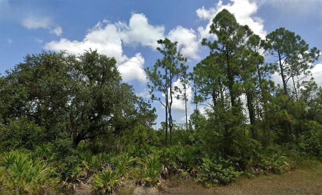 Photo of 28116 Ramiro Drive, Punta Gorda, FL 33955 (MLS # O6295060)