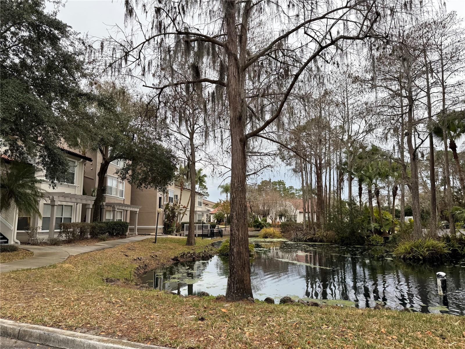 RESIDENCES AT VILLA MEDICI CONDOMINIUM 8499/4131 & - Residential Lease