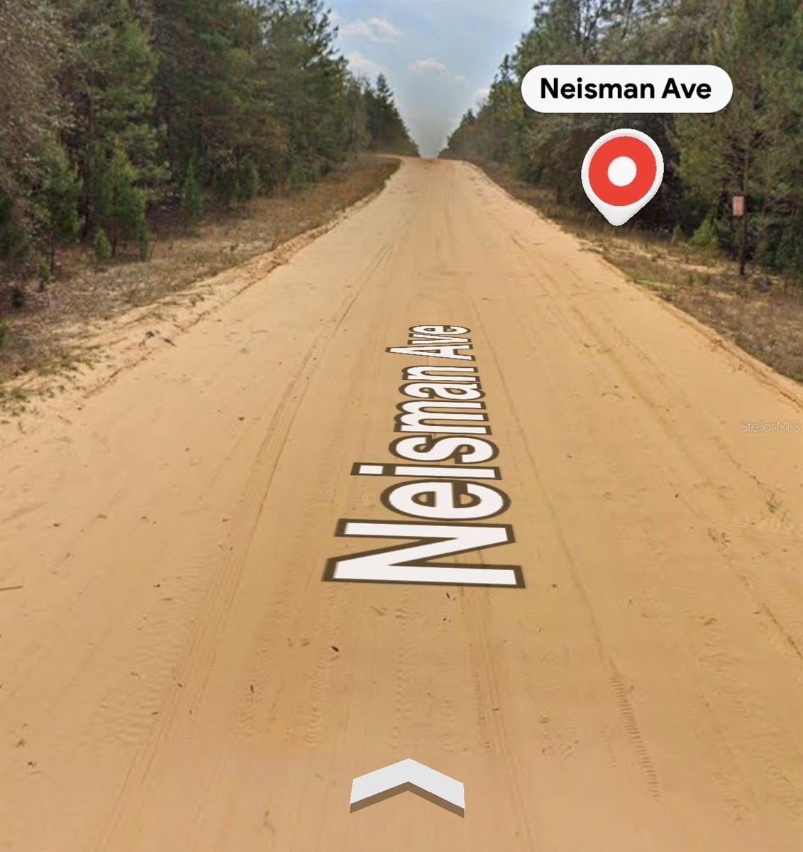 NEISMAN