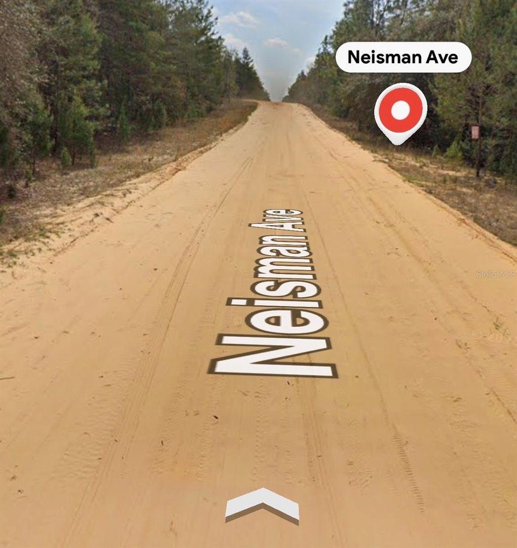 Photo of Neisman, Interlachen, FL 32148 (MLS # A4694421)