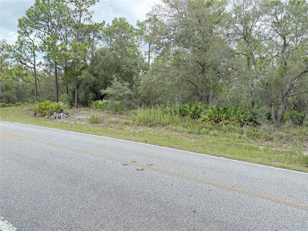 Photo of 0 Fulton Avenue, Weeki Wachee, FL 34613 (MLS # TB8404474)
