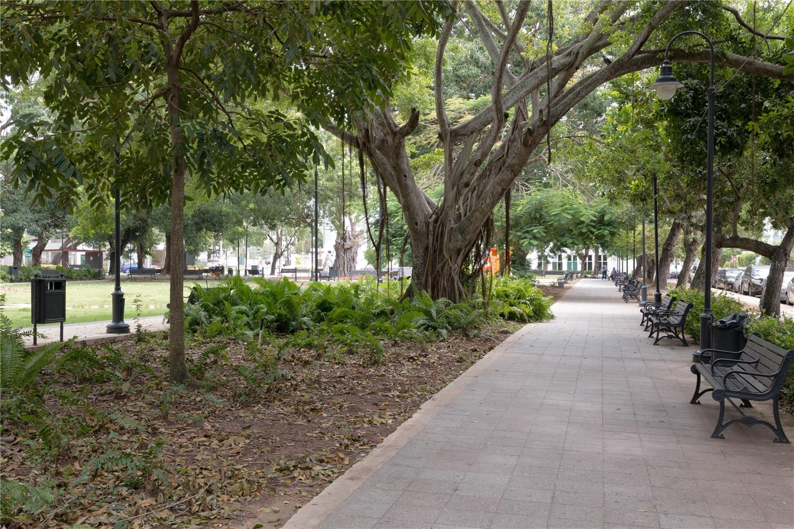 CONDADO - Residential