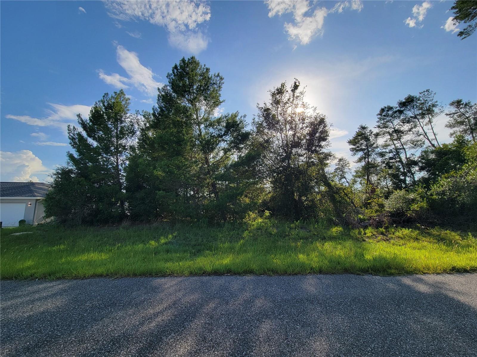 Are you ready to build your dream? You won't want to pass up this residential .24 acre vacant lot in the growing Marion Oaks area of Ocala/Marion County. This lot is zoned for Ross Prairie Elementary, Horizon Academy, and Dunnellon High School. In county limits with county maintained roadways. No HOA fees. No CDD.