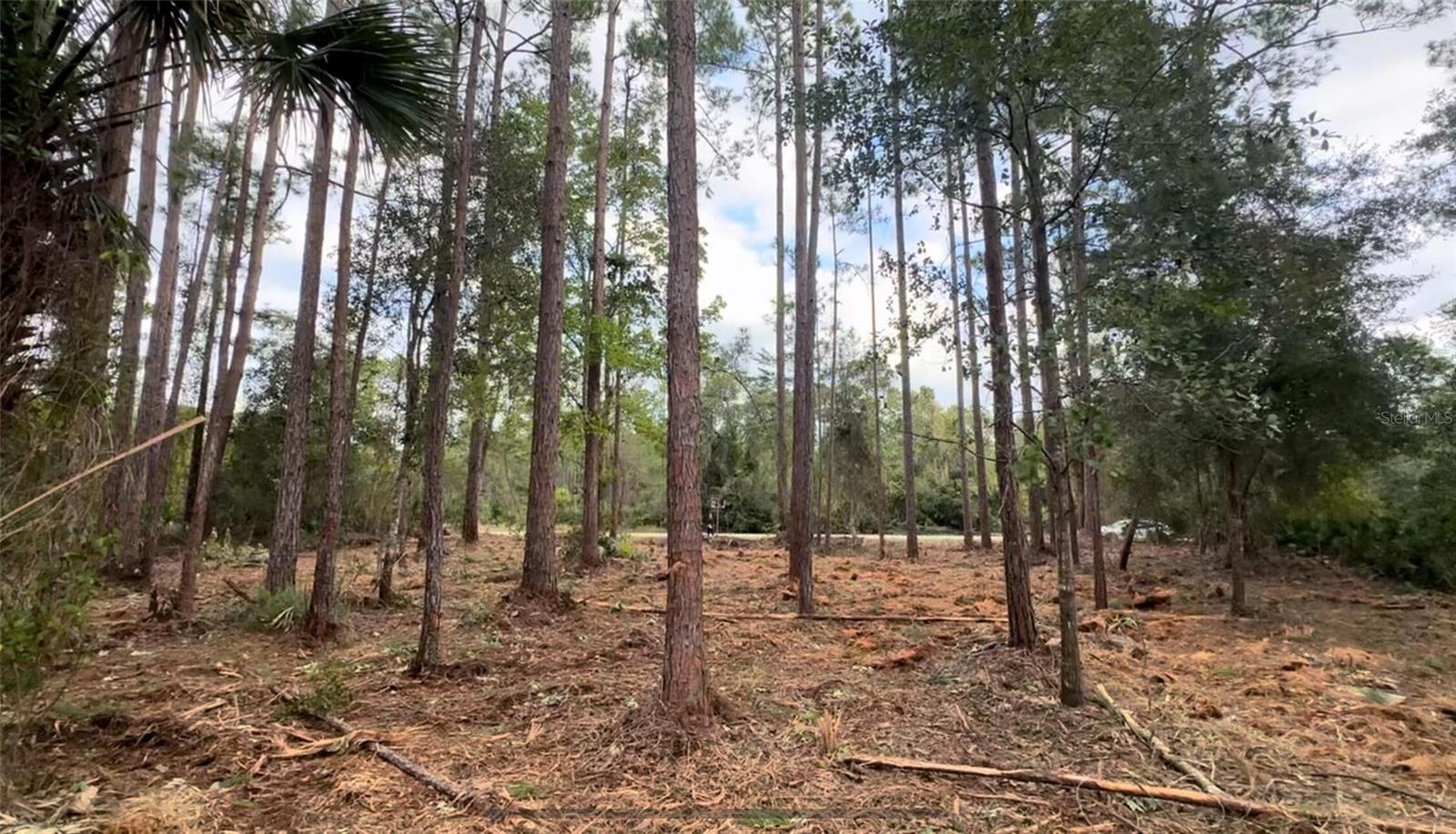 PARADISE LAKES SUB - Land