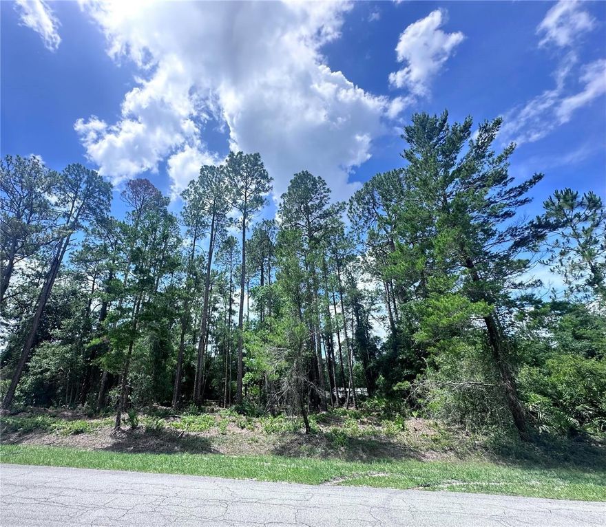 **MOTIVATED SELLERS ** 0.34 Acre – Build or Mobile Home – Deeded Lake Access – High & Dry – Clean Title Buildable 0.34 acre lot near Lake George with deeded access – for mobile home or new construction. High & dry lot, outside flood zone, clean title and ready for immediate transfer. Few trees left to clear, easy access from paved road. Private lake access with boat ramp, picnic area and BBQ grills. Excellent opportunity for building, long-term investment or recreational use. . - HOA only $45/year - Parcel number- 08-13-27-7061-0480-0040 - Centroid Coordinates 29.388337, -81.591838 Come here for building, investing, or your next Florida getaway spot!!