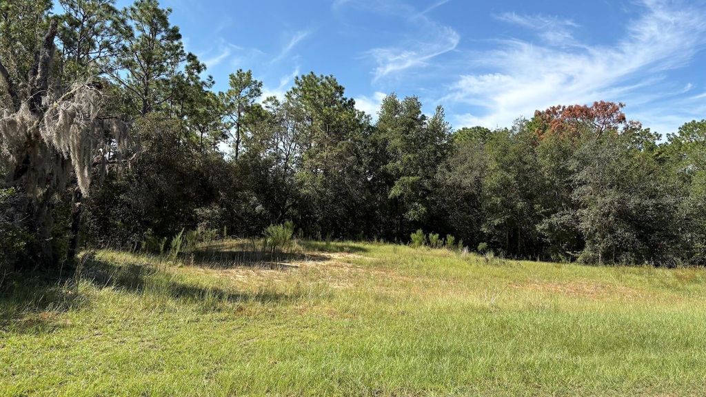 Photo of 418 E Lancaster Street, Lecanto, FL 34461 (MLS # TB8422005)