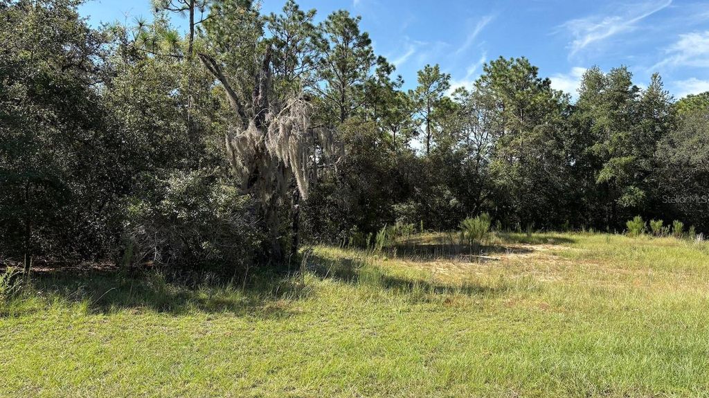 Photo of 418 E Lancaster Street, Lecanto, FL 34461 (MLS # TB8422005)