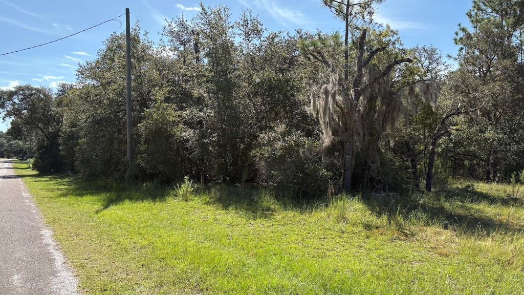 Photo of 418 E Lancaster Street, Lecanto, FL 34461 (MLS # TB8422005)