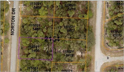 PORT CHARLOTTE SUB 45 - Land