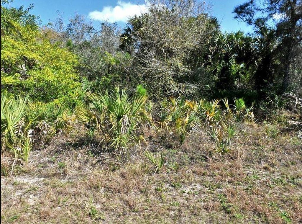 Photo of Norton Drive, North Port, FL 34288 (MLS # O6185078)