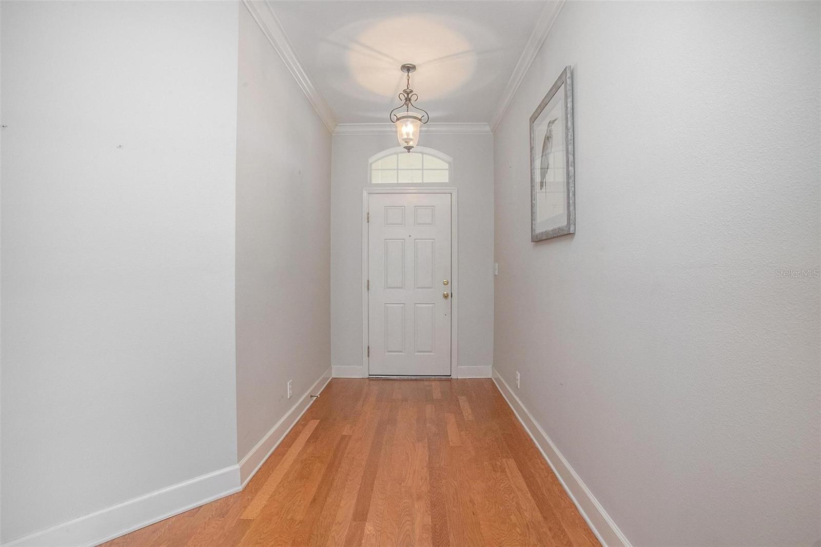 215 COLETON LANE