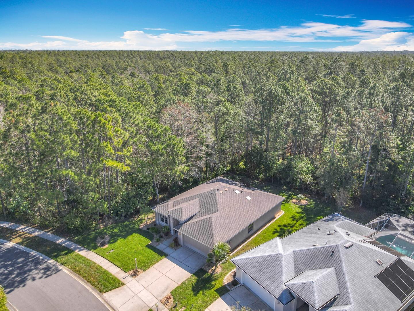 1077 CRYSTAL CREEK DRIVE