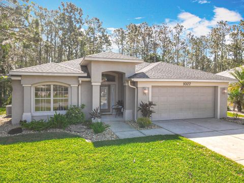 1077 CRYSTAL CREEK DRIVE PORT ORANGE FL 32128