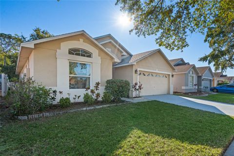 A home in ORLANDO